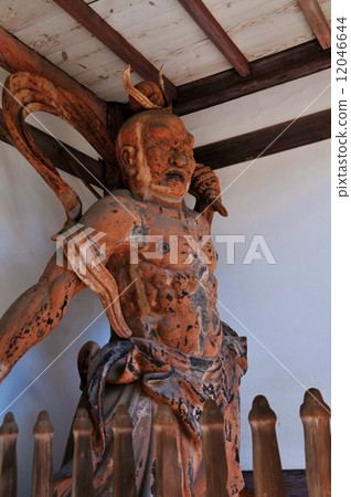 金剛國王的雕像 12046644