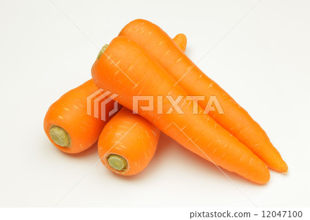 來自北海道的胡蘿蔔 12047100