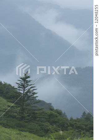 高地面高原 高地面高原 12048255