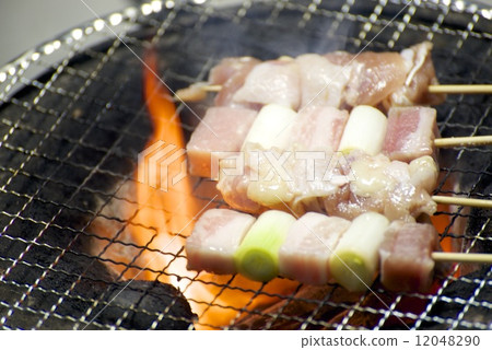 Yakitori (raw) Yakitori (raw) 12048290