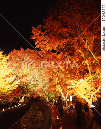 河口湖的Momiji走廊 河口湖的Momiji走廊 12048321