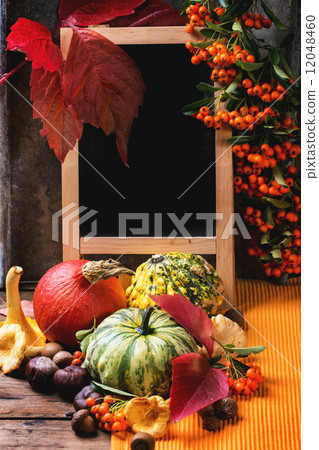 Pumpkins, nuts and empty chalkboard Pumpkins, nuts and empty chalkboard 12048460