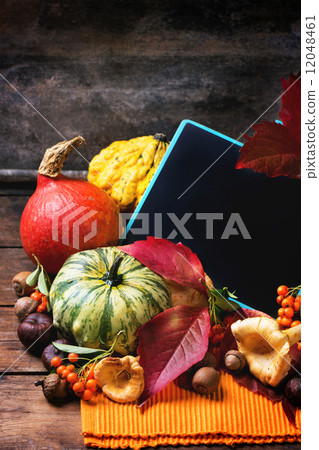 Pumpkins, nuts and empty chalkboard Pumpkins, nuts and empty chalkboard 12048461
