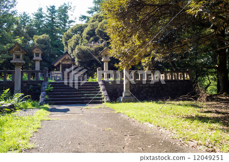 The approach of Tamako Shrine The approach of Tamako Shrine 12049251