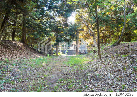 The approach of Tamako Shrine The approach of Tamako Shrine 12049253