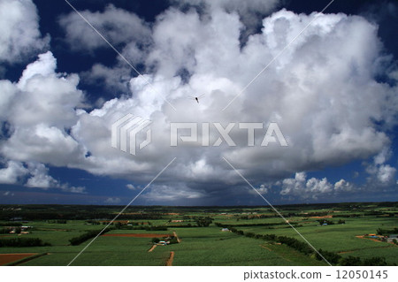 Minami-Daito島的風景 12050145
