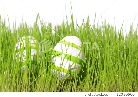 easter eggs green 12050606
