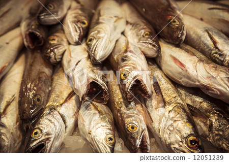 Mercat de Sant Josep Barcelona, stack of dead predator fishes 12051289