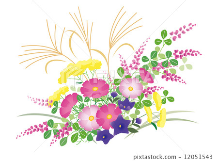 Autumn flowers (cosmos · hagi · pencil · omikenen · sushi) Japanese style 12051543