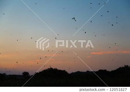 Swallow's entrance and sunset sky 12051827