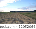Aki's rice field 12052064