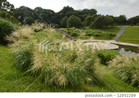 September of Hachioji City Nagaike Park 12052289