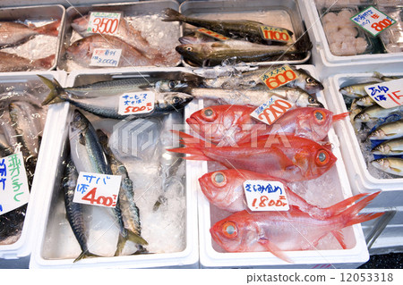 Fresh fish lining up at the store 12053318