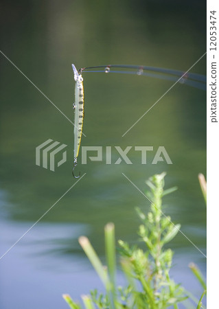 誘餌釣魚圖像 12053474