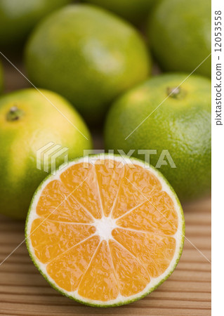 藍色早產橙子 12053558