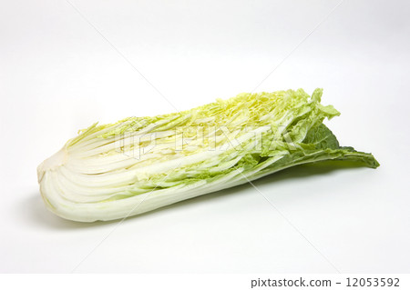 Chinese cabbage Chinese cabbage 12053592