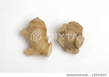 ginger ginger 12053624