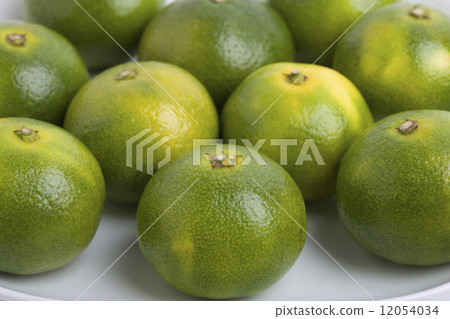 藍色早產橙子 藍色早產橙子 12054034