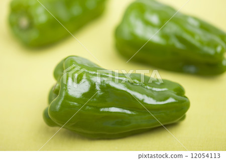 green pepper  12054113