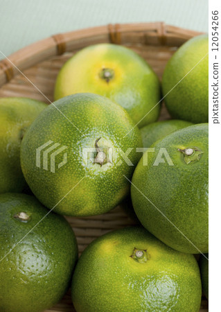 Blue early birth oranges Blue early birth oranges 12054266