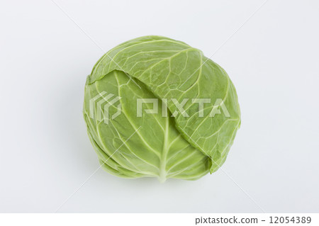 cabbage cabbage 12054389