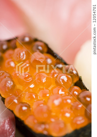 Sushi Sushi 12054701
