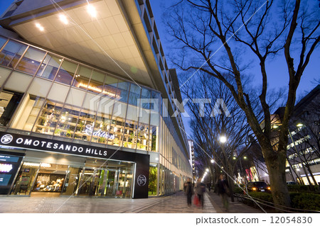 Night view of Omotesando Night view of Omotesando 12054830