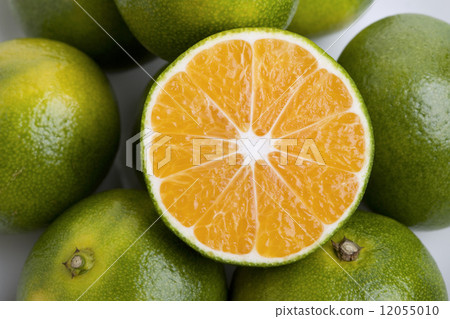 藍色早產橙子 12055010