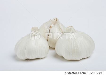 大蒜 12055399