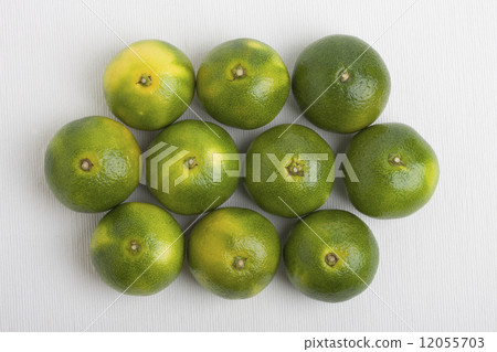 藍色早產橙子 藍色早產橙子 12055703