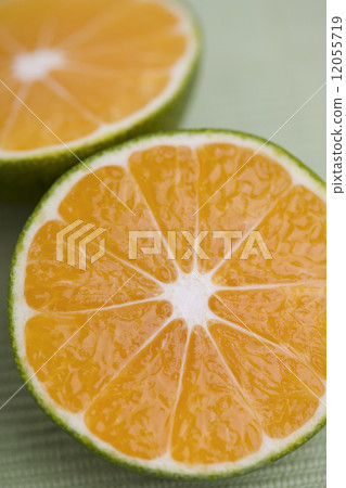 藍色早產橙子 12055719