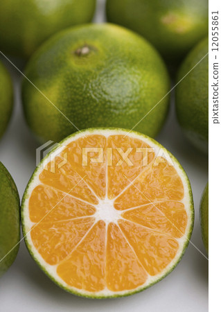 藍色早產橙子 12055861