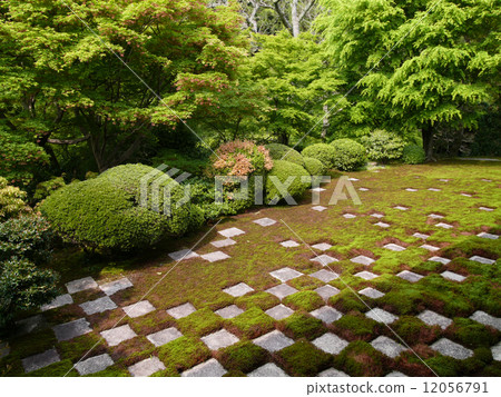 Toefukuji Kita garden's strange "Kochi Matsu no Garden" Toefukuji Kita garden's strange "Kochi Matsu no Garden" 12056791