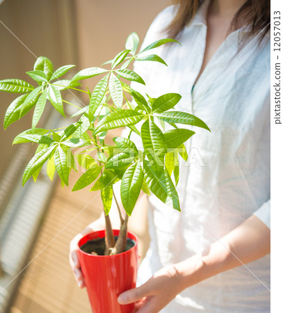 Pakira and a woman 12057013