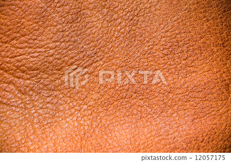 Leather texture 12057175