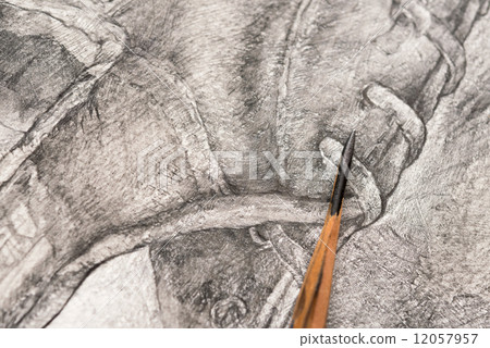 Drawing 12057957