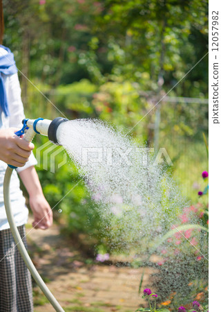 A woman sprinkling water A woman sprinkling water 12057982