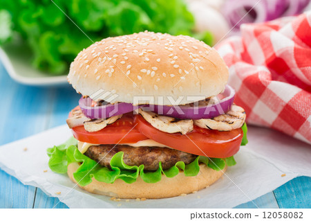 Home made burger Home made burger 12058082