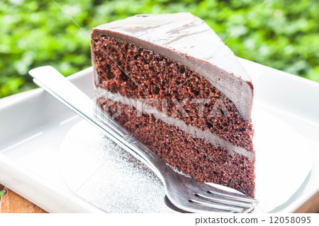 Double chocolate custard cake layers on white dish 12058095