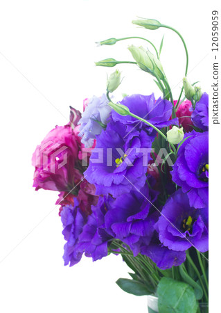 bouquet  of  violet and mauve eustoma flowers 12059059