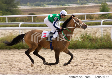 Horse racing. Horse racing. 12059156