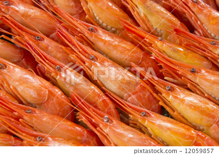 Shimmering prawns Shimmering prawns 12059857