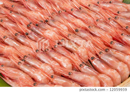 Shrimp 12059939