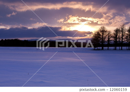 冬天的景色 12060159