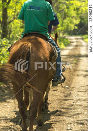 horse riding  12060216