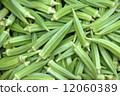 Okra 12060389