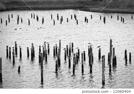 Record of Tokyo Bay landfill, Oi's wharf in the 1990's 12060404