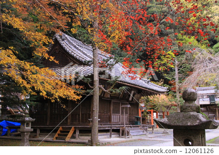 Mino Park (Osaka) Autumn leaves in Takinosejo prefecture 12061126