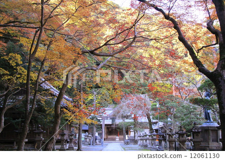 Mino Park (Osaka) Autumn leaves in Takinosejo prefecture 12061130