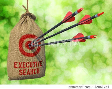 Executive Search - Arrows Hit in Red Mark Target. 12061731